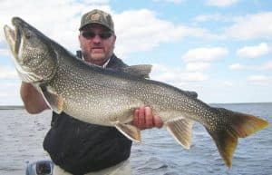 laketrout-768x494