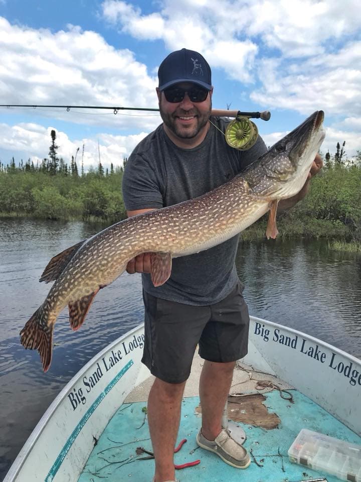 Northern Pike