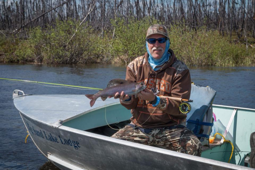 arctic grayling fish caught in canada